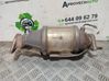 Katalizators, FAP/DPF cieto daļiņu filtrs 289G007FP0