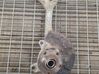 Front wheel hub 