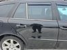 Rear door COLORC197