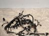 Engine installation wiring loom 48852022F