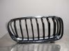 Fender grill 51712240778