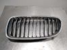 Fender grill 51712146911
