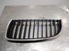Fender grill 51712151895