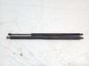 Tailgate/trunk strut/damper EM2BR406A11AF