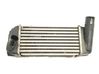 Radiador del refrigerante 179400N080