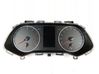 Speedometer (instrument cluster) 248094722R