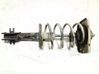 Front shock absorber with coil spring 5202K8