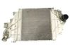 Radiador del refrigerante 8200685747