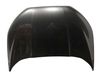 Motorhaube GN15N16612BA