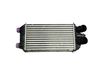Radiatore di raffreddamento 9824742280
