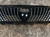 Maskownica / Grill / Atrapa górna chłodnicy 9843792880