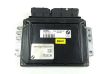 Sterownik / Moduł ECU 7513981