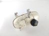 Coolant expansion tank/reservoir 217101893R