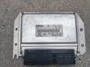 Engine control unit/module 391004A810