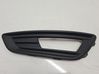 Front fog light trim/grill F1EB15A299A