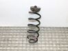 Rear coil spring 