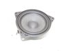 Panel speaker 107974200A
