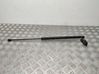 Tailgate/trunk strut/damper 13278257