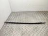 Rear door glass trim molding 