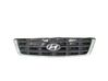 Front grill 