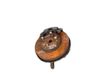 Front wheel hub spindle knuckle 