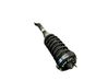 Rear shock absorber/damper 