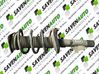 Front shock absorber/damper 