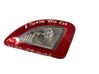 Tailgate rear/tail lights 