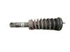 Rear shock absorber/damper 