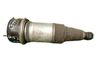 Rear shock absorber/damper 