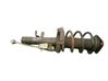 Front shock absorber/damper 