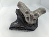 Engine mount bracket 