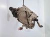 Rear differential F1E1A2B5Z