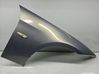 Fender A34ARKTIS