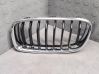 Front bumper upper radiator grill 7260497