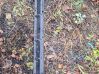 Sill 8408709