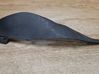 Moldura del limpia 31218597
