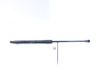 Tailgate/trunk strut/damper 9813177780