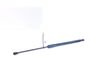 Tailgate/trunk strut/damper 9813177780