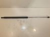 Tailgate/trunk strut/damper 844310002R