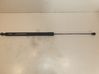 Tailgate/trunk strut/damper 844310002R