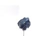 Rear door lock 7167069