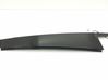 Rear door glass trim molding 
