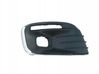 Front grill 9816054180