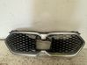 Front grill 5A4B303