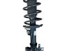 Front shock absorber with coil spring 562400006314