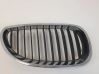 Front grill PD6036