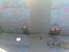 Asiento trasero 