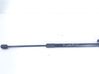 Tailgate/trunk strut/damper 1K8827550C