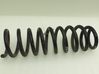 Rear coil spring 